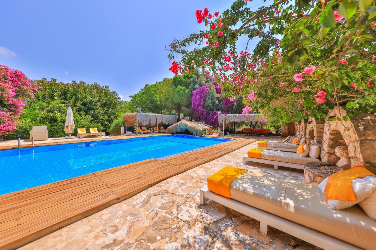 La Salvia Hotel Kaş Extérieur photo
