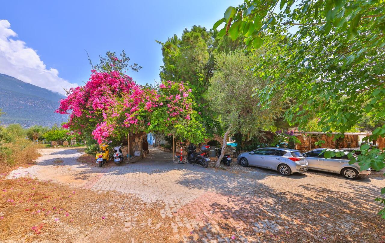 La Salvia Hotel Kaş Extérieur photo